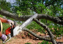 Best Seasonal Cleanup  in Blandon, PA